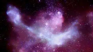 Chandra wychwyciła 14 tys. gwiazd w Mgławicy