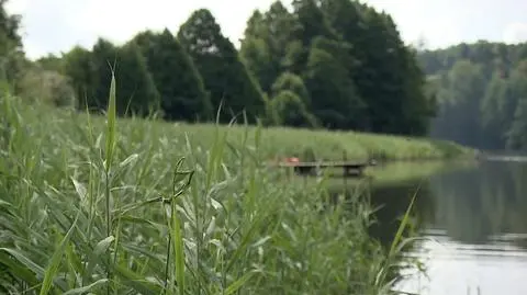 Stare Jabłonki - miejsce do aktywnego wypoczynku i obcowania z naturą
