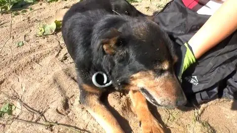 "Przemek był na podwórku, prawie go przygniotły drzwi". Wichury na Mazurach