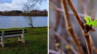 Przyroda poczuła wionę