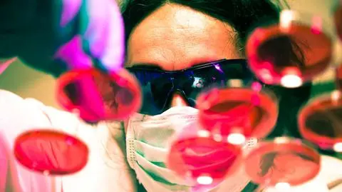 Terapia genowa sposobem na HIV? Myszy reagowały obiecująco