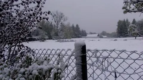 Aktualnie czytasz: Spadła temperatura, spadł też śnieg. "Zima w maju"