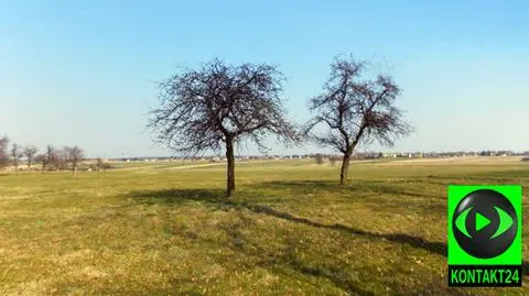 Pogoda nam dopisze