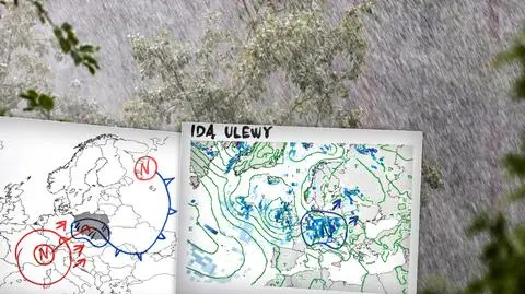 Pogoda na najbliższe dni według Tomasza Wasilewskiego