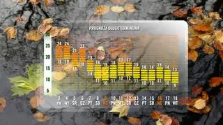Prognoza długoterminowa