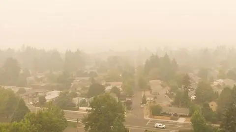 Zanieczyszczone powietrze sprzyja cięższemu przebiegowi COVID-19. Zwiększa śmiertelność