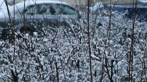 Miejscami będzie padał śnieg