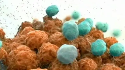 Immunoterapia jako sposób na walkę z rakiem