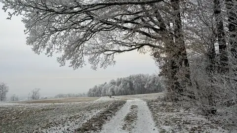 Czeka nas lekka zima