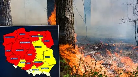 "Wystarczy niewielki impuls energetyczny". Duże zagrożenie pożarowe w wielu regionach