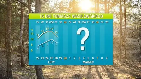 Pogoda na 16 dni: wielka fala ciepła zmierza do Polski