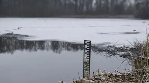 Woda po roztopach zalała drogi i posesje. Strażacy interweniowali na Śląsku