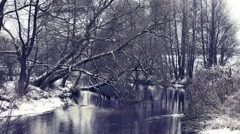 Prognoza pogody na dziś: będzie pochmurno i popada