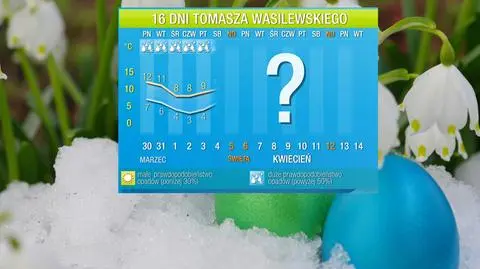 Prognoza długoterminowa Tomasza Wasilewskiego