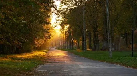 Warunki drogowe będą dobre