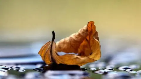 Jesień wkracza do rozgrzanej wciąż Europy