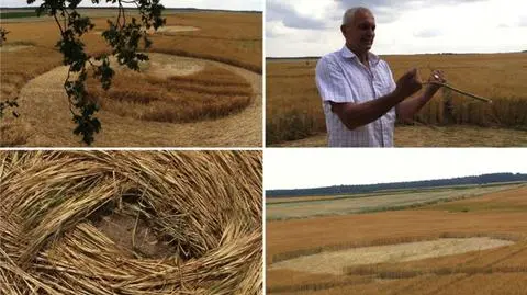 Do zbadania kręgów samorządowcy z Orchowa poprosili nawet różdżkarza