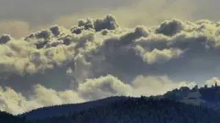 Oto modelowy Cumulus congestus