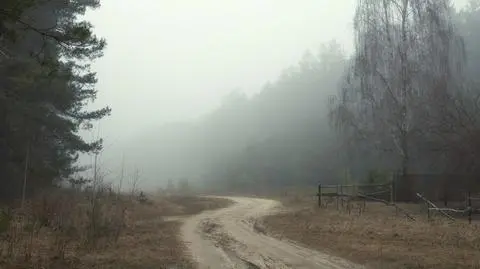 Miejscami spadnie deszcz