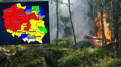 Upały i sucha ściółka. Duże zagrożenie pożarowe w Polsce