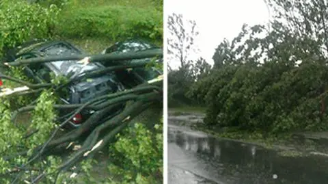 Pożary, zerwane linie i połamane drzewa po burzach