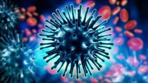 Najwięcej zachorowań było na wirusa H1N1