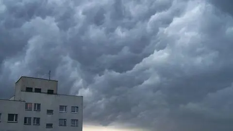 Katowice- Dąbrówka Mała 