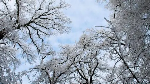Pierwszy śnieg już niedługo