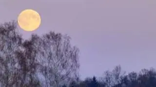 25 listopada będzie nów 
