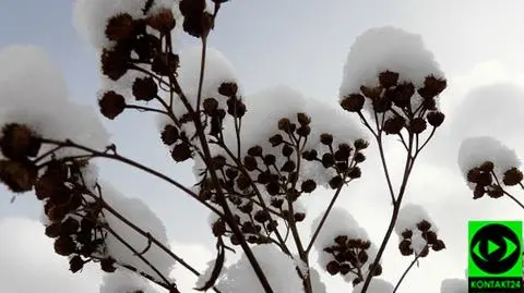 W czwartek miejscami sypnie śnieg