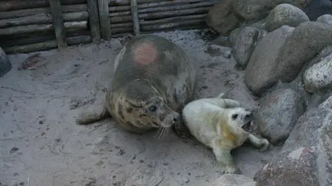 Lubek z mamą pozują do zdjęcia