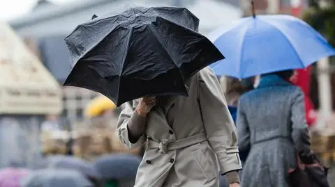 Lokalnie pojawią się opady, może mocniej powiać