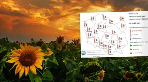 Eksperymentalna prognoza pogody na sierpień