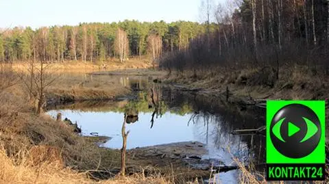 "To co spadło, to kropla w morzu"