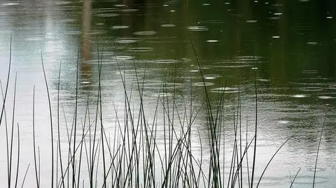 Na wschodzie i północnym wschodzie może popadać