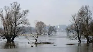Zalane niemieckie miasto Lubusz