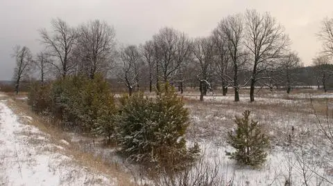 W weekend śnieg pojawi się na południu kraju
