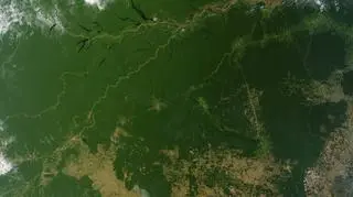 Zdjęcie satelitarne amazońskich lasów