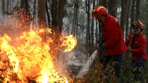 Kataklizmu ciąg dalszy. Płoną wyschnięte lasy w Portugalii i Hiszpanii