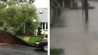 Wyrwane drzewa i zalane ulice - to skutek przejścia Irene