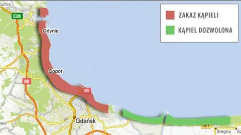 Sinice na trójmiejskich kąpieliskach. Zakaz kąpieli od Babich Dołów do Brzeźna 