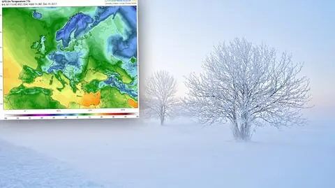 W grudniu ściśnie mróz