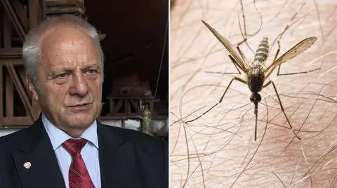 Jak się chronić przed komarami? Radzi Stefan Niesiołowski