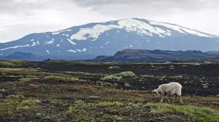 Wulkan Hekla na Islandii