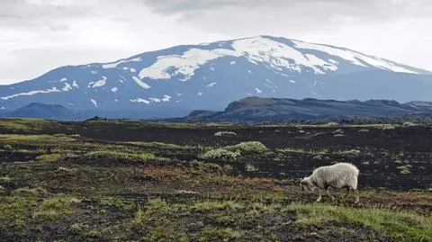 Wulkan Hekla bliski erupcji?