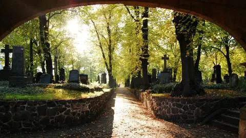 Wszystkich Świętych będzie słoneczny