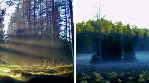 Mazury ostro tną ceny. Od jutra o 50 proc.
