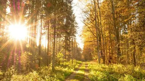 Polska będzie pod wpływam wyżu. Zapowiada się dobra pogoda