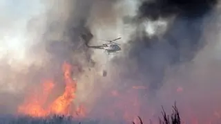 Gaszenie galicyjskiego lasu
