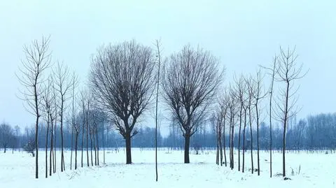 Pogoda nie będzie dopisywać